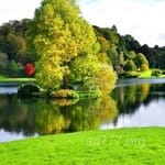 Avatar of Ammar Hussain